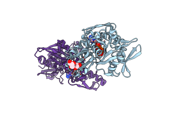 6B1M image