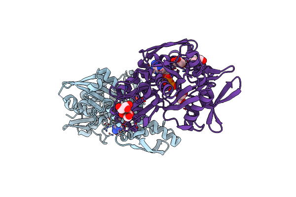 6B1N image