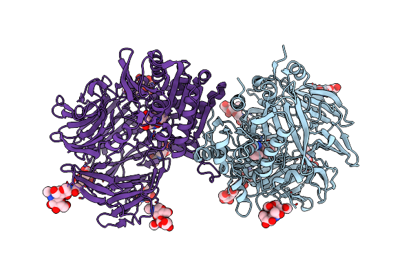 6B1O image