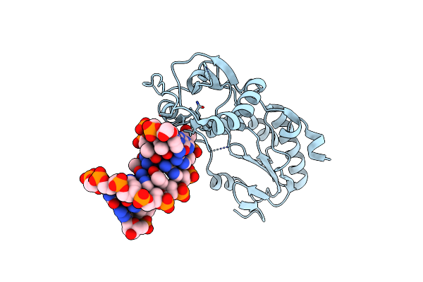 6B1R image