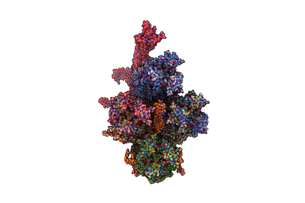 6B1T image