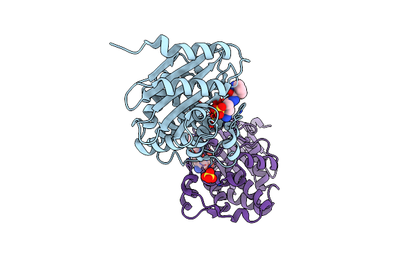 6B1W image