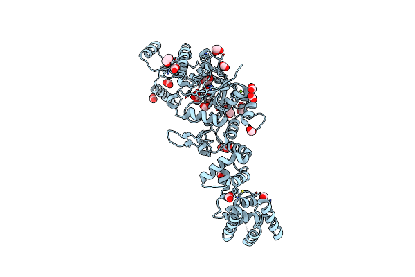 6B1Z image