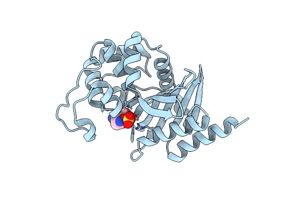 6B22 image