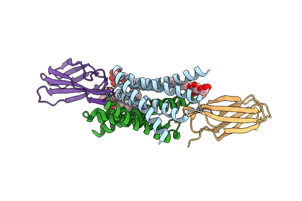 6B2B image