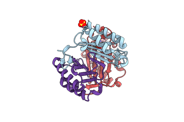 6B2C image