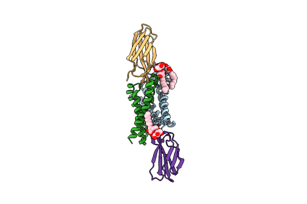 6B2D image