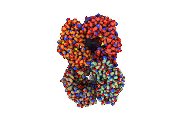 6B2M image
