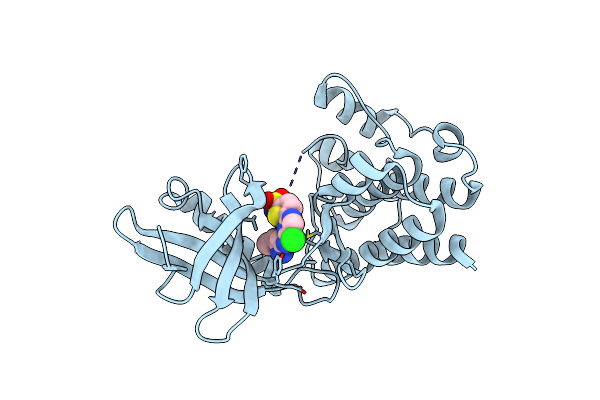 6B2P image