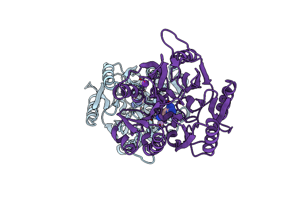 6B2W image