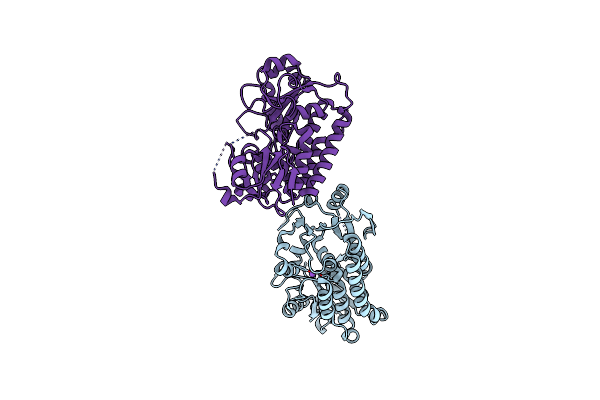 6B2X image