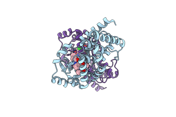 6B31 image