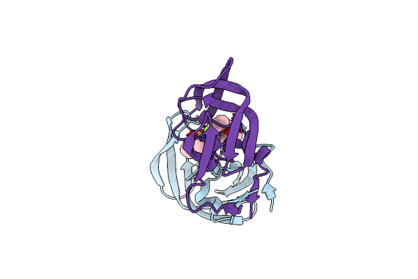 6B3C image