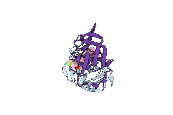 6B3G image
