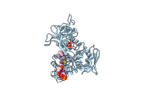 6B3T image