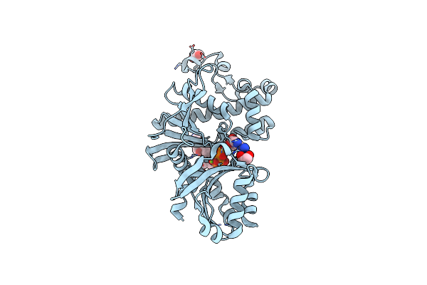 6B3V image