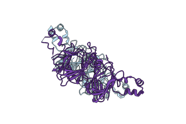 6B4S image
