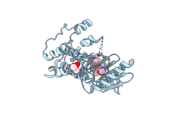 6B4W image