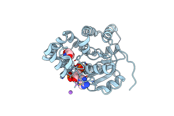 6B4X image