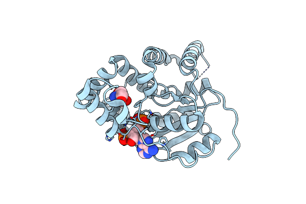 6B4Z image