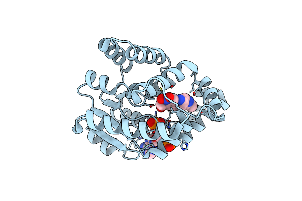 6B52 image