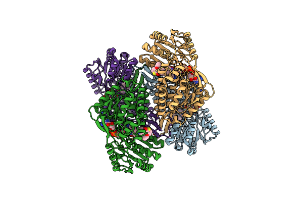 6B5G image