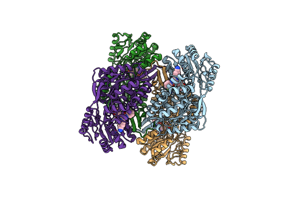 6B5I image