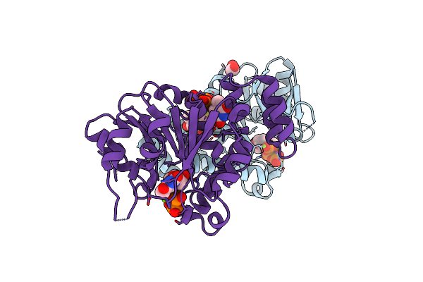 6B5K image