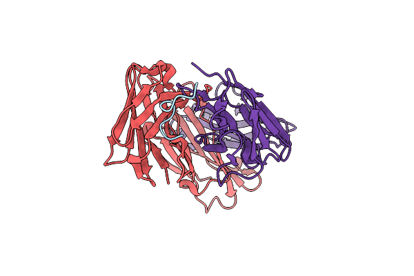 6B5L image