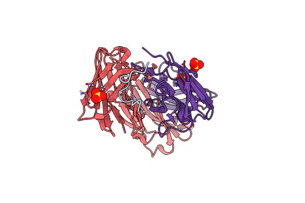 6B5M image