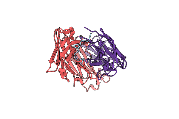 6B5N image