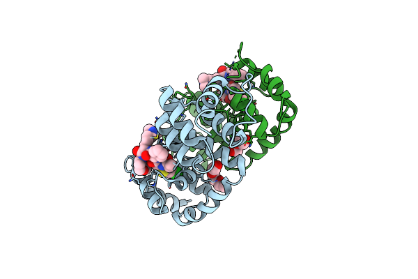 6B5Q image