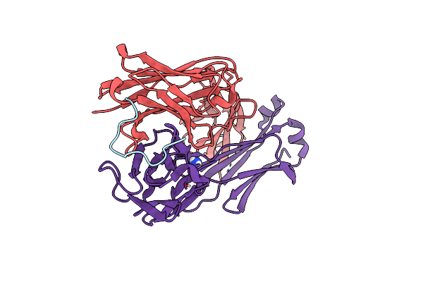 6B5T image
