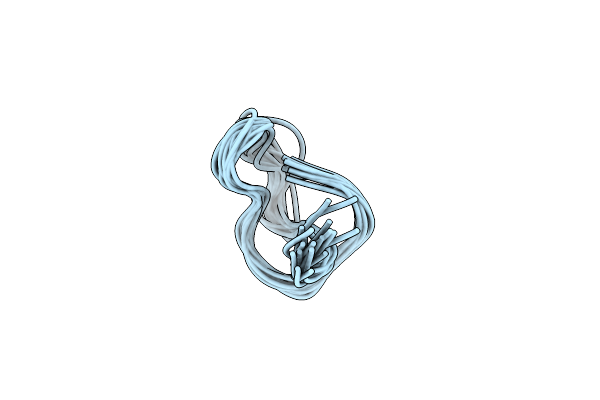 6B5W image