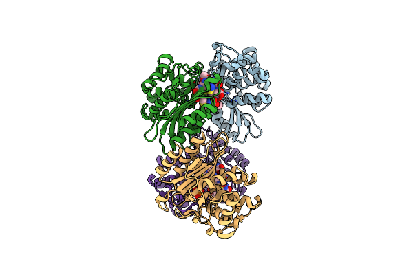 6B5Y image