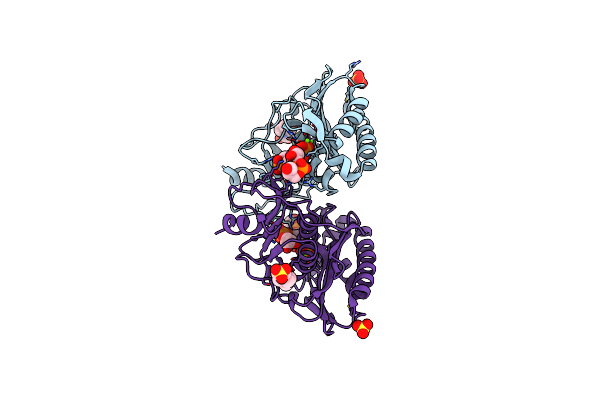 6B63 image