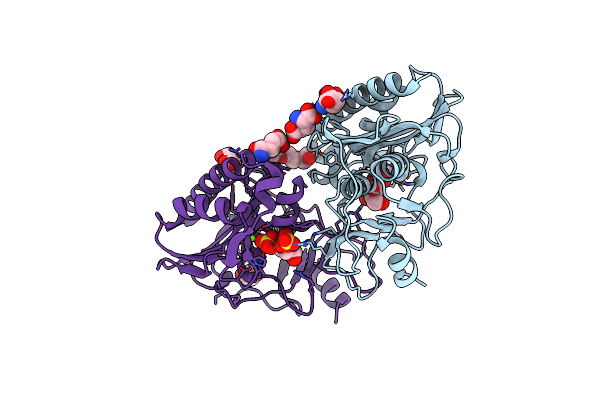 6B66 image