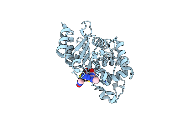 6B6C image