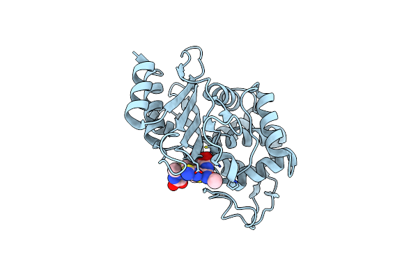 6B6D image