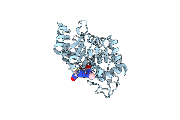 6B6E image