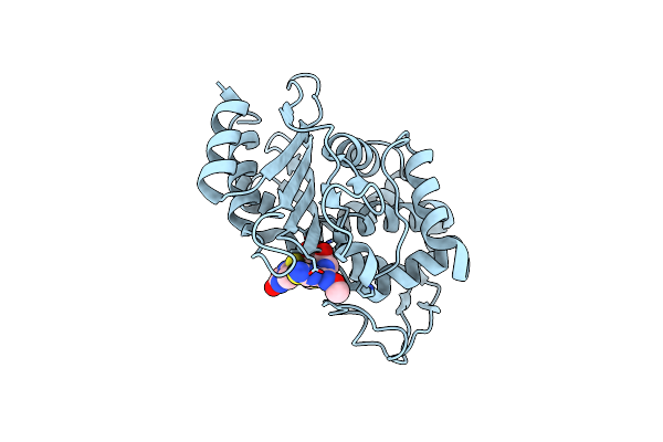 6B6F image