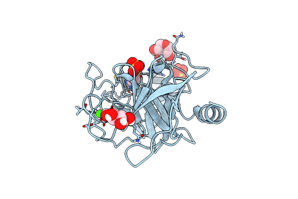 6B6P image