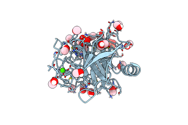 6B6T image
