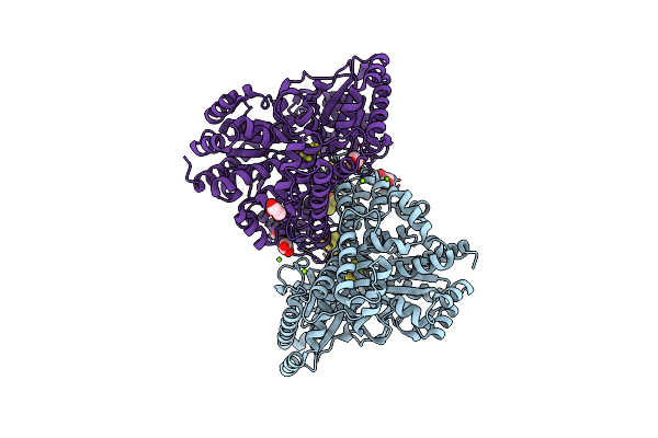 6B6X image