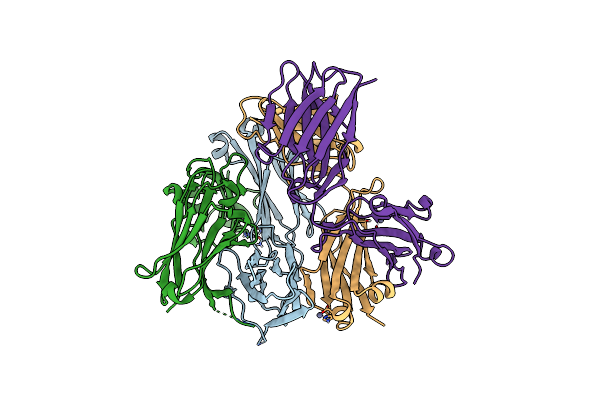 6B6Z image