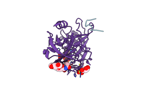 6B74 image