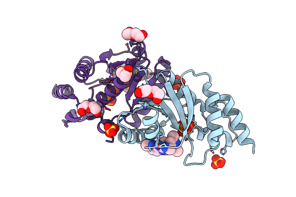6B7C image