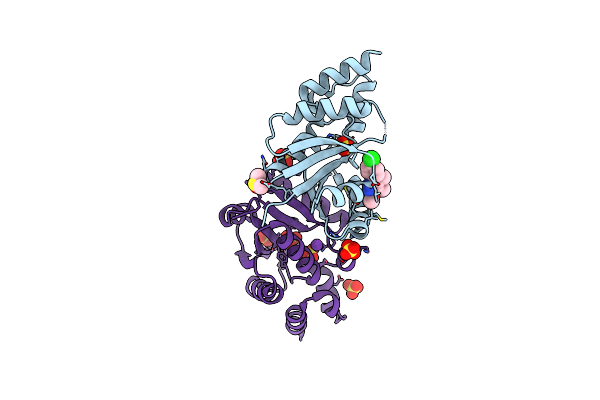6B7D image