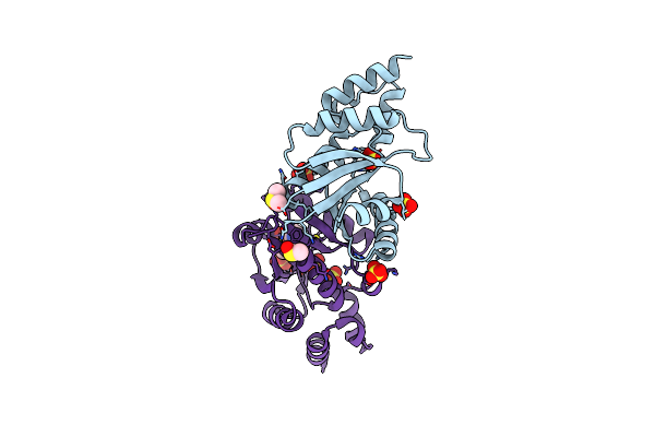 6B7E image
