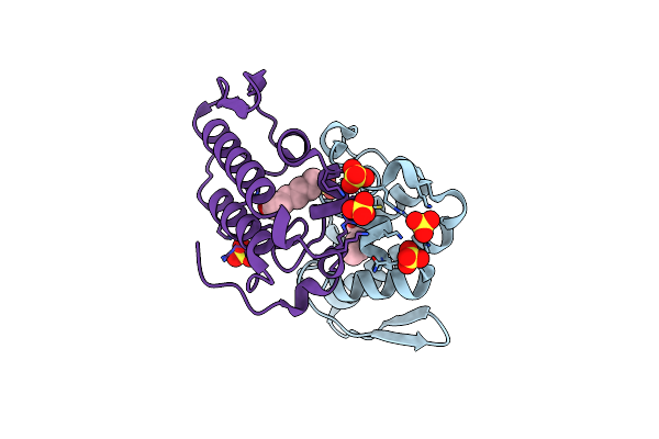 6B81 image